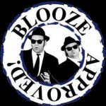 NEW! CT- 1 pair tix to Blooze Bros Saturday July 26